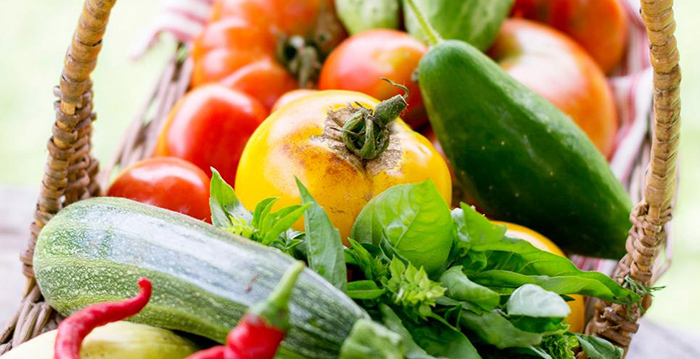 Vegetable Gardening for Beginners: 16 Tips and Tricks